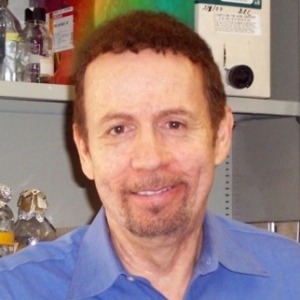Dana Crawford, Speaker at Traditional Medicine Conference